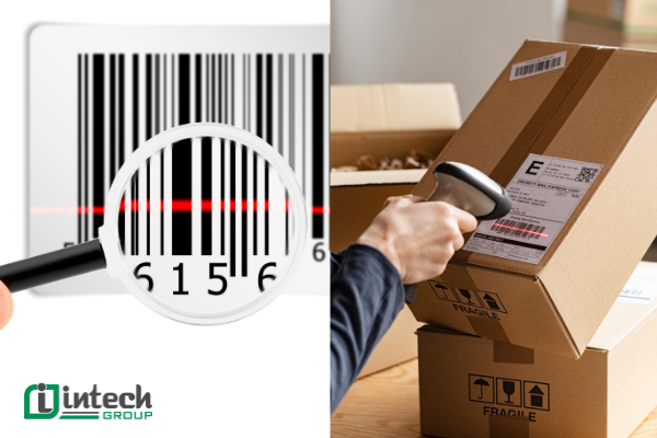 barcode solutions in warehouse management  optimizing inventory processes and product traceability