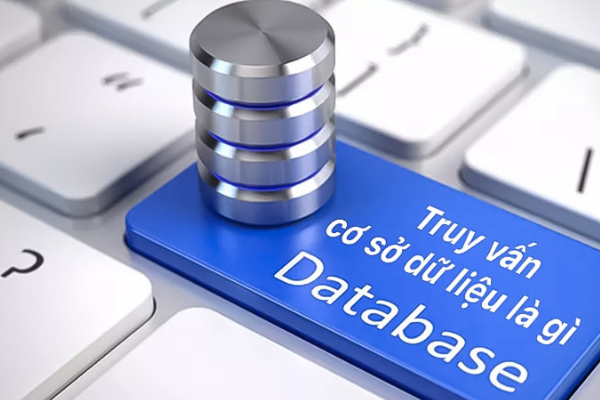 what is a database query  how does a database query work