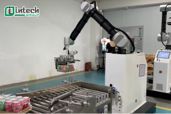 6 lý do robot bốc xếp intech tối ưu hơn bốc xếp thủ công