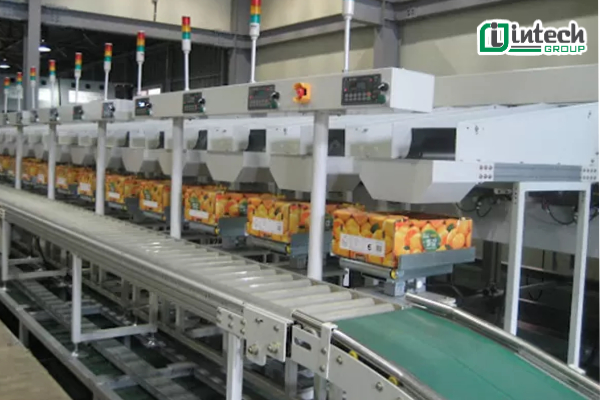 Cấu tạo của dây chuyền phân loại sản phẩm theo trọng lượng, khối lượng