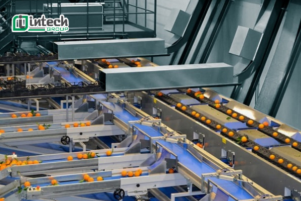 Dây chuyền phân loại sản phẩm theo màu sắc