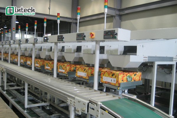 Hệ thống phân loại sản phẩm theo màu sắc (1)
