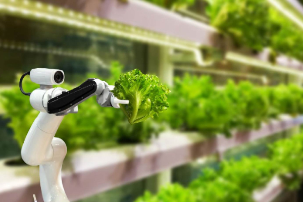 Các giải pháp IoT nổi bật trong nông nghiệp