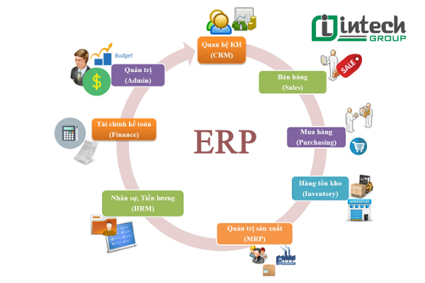 Các phần hành chủ yếu trong hệ thống ERP