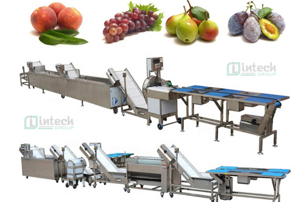 Công nghệ hoạt động của dây chuyền rửa rau củ quả