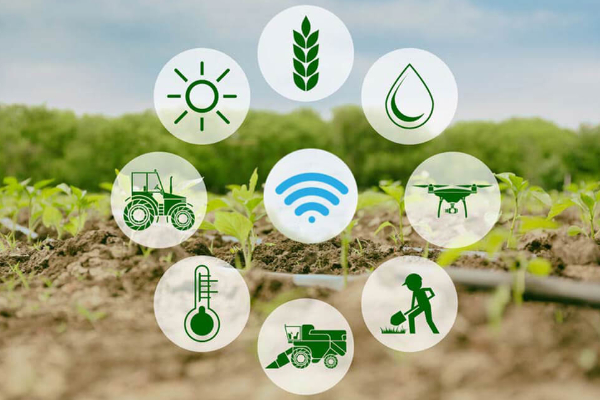 Lợi ích của IoT trong nông nghiệp