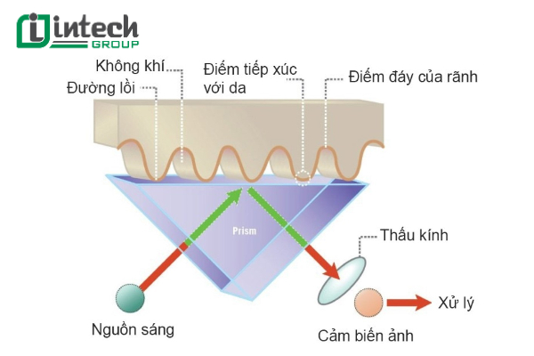 Nguyên lý hoạt động của cảm biến vân tay quang học