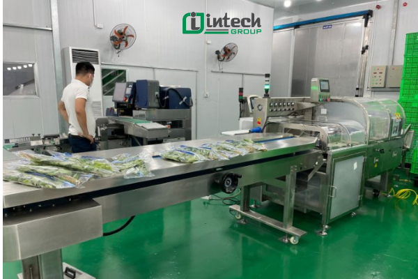 Những lợi thế nổi bật của dây chuyền rửa rau củ quả công nghiệp