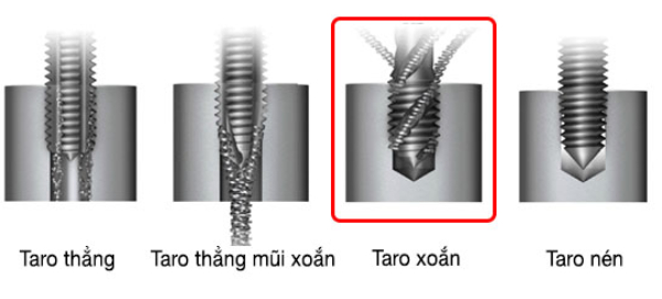 Phân loại mũi taro