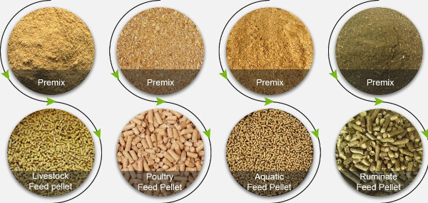 Thức ăn trộn sẵn (Premix Feed)