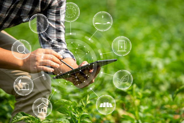 Yêu cầu về cơ sở hạ tầng để triển khai IoT trong nông nghiệp thông minh